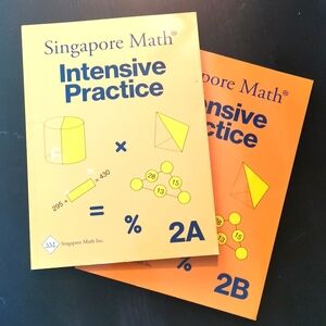 Singapore Math intensive practice 2A and 2B